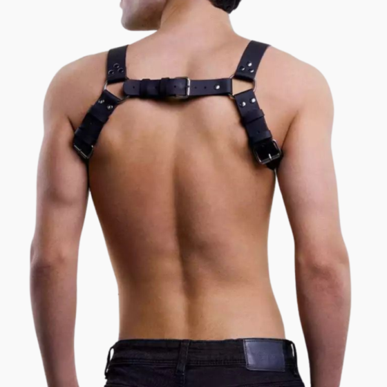 Arnés Torso Apolo