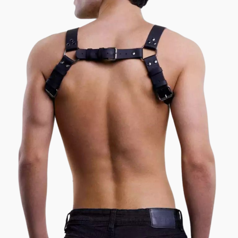 Arnés Torso Apolo